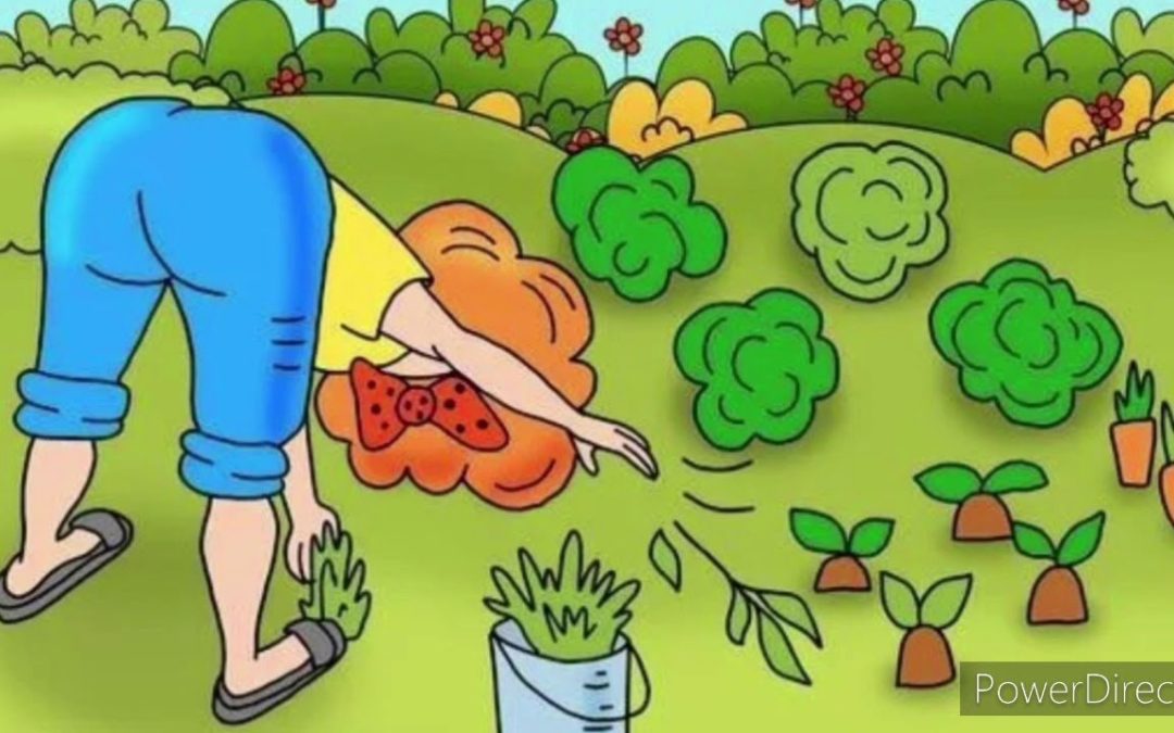 Упражнения для пенсионеров в перерывах между садово-полевыми работами: как не стать жертвой собственного огорода